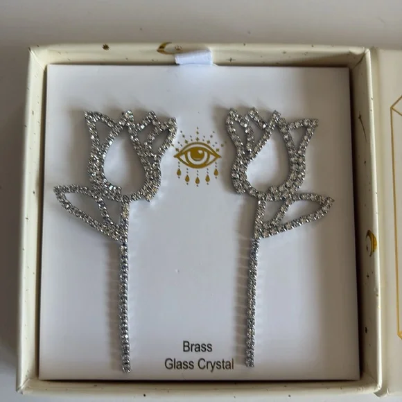 Eye Candy Los Angeles luxe collection large drop earrings for pierced ears NIB - Picture 2 of 8